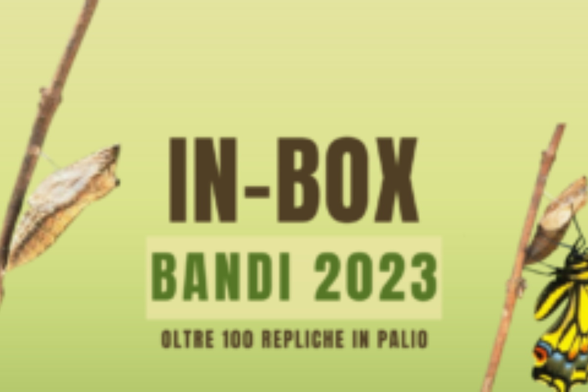 Bandi in box