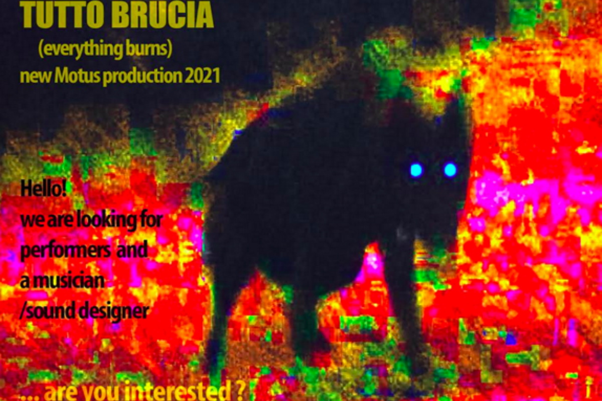 Tuttobrucia